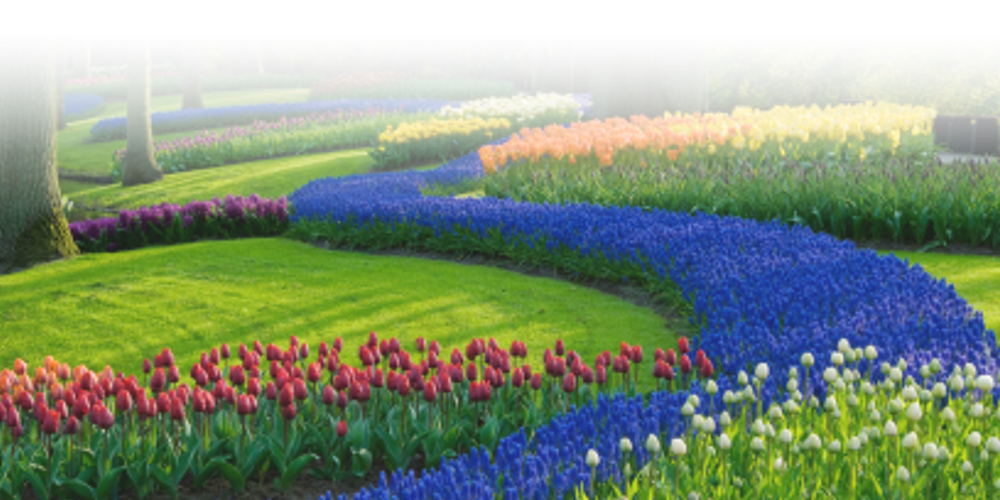 landscaping_field